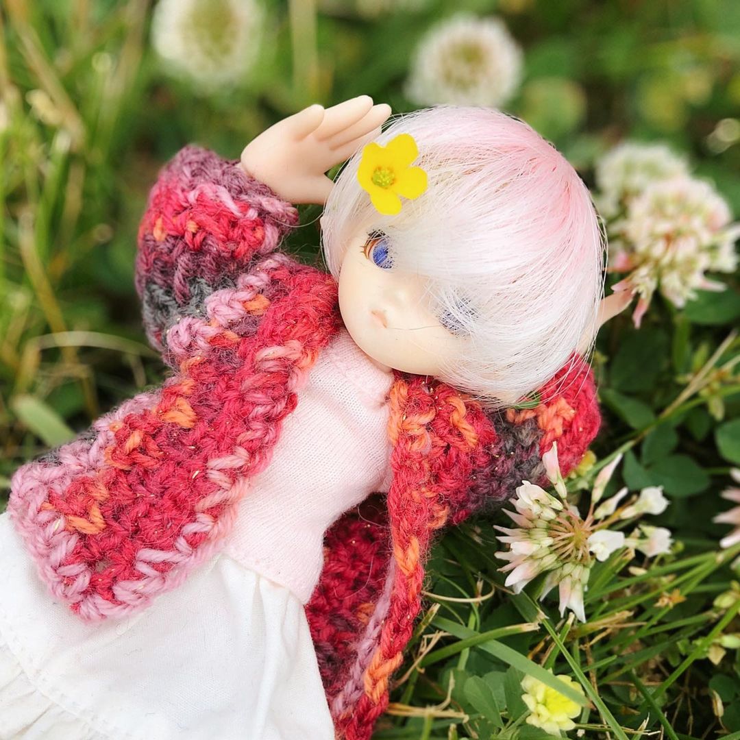 Parabox Picco Neemo D hybrid with pink hair